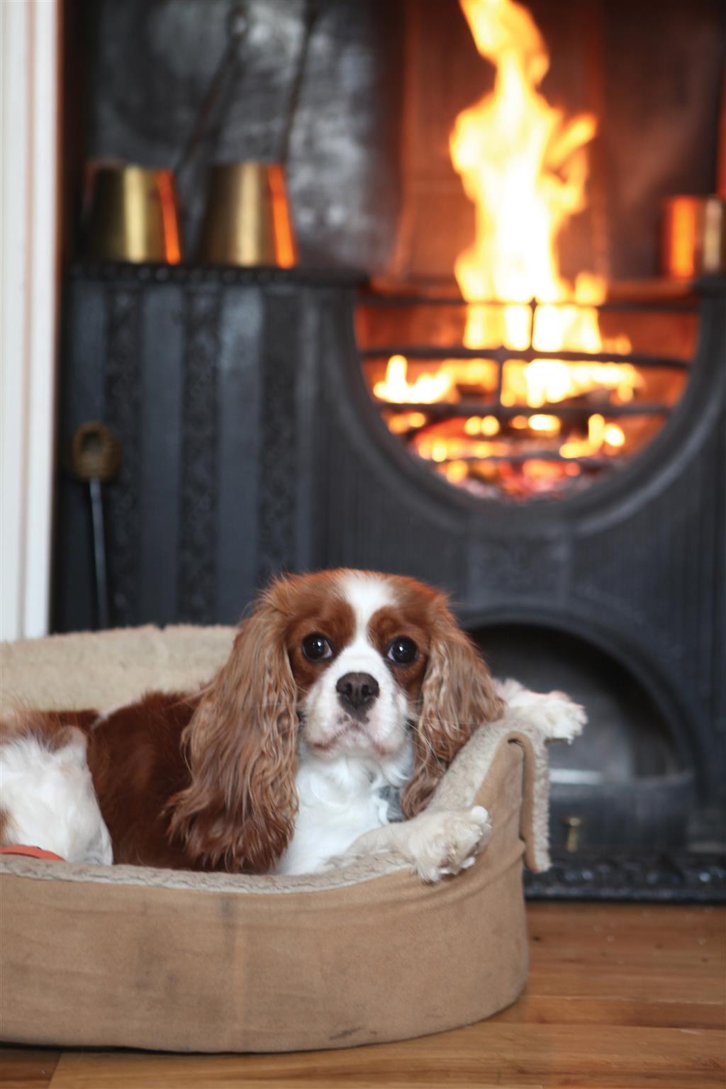 Best Western Henbury Lodge Hotel Bristol Bagian luar foto